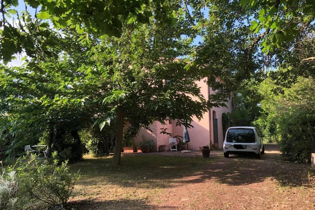 Villa La casa nel bosco Lari Esterno foto