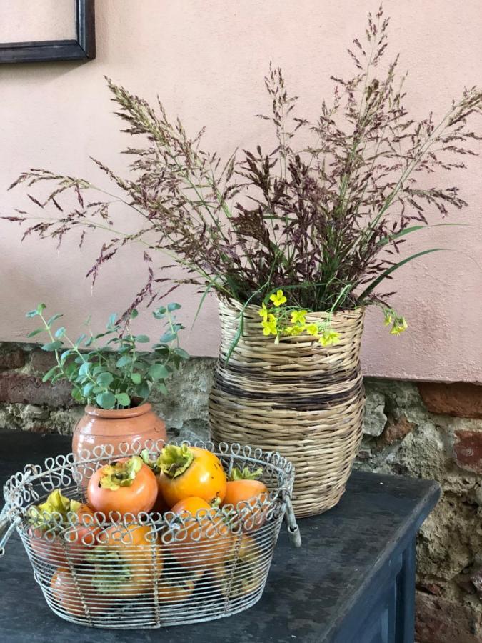 Villa La casa nel bosco Lari Esterno foto
