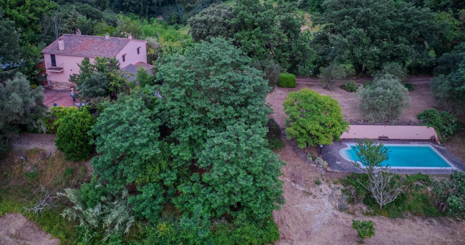 Villa La casa nel bosco Lari Esterno foto